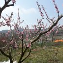 일 농장 이미지