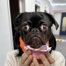 김쌤첼로 이미지