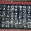 침수정 이미지