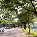 탄천 엑스파크공원 이미지