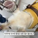 다이소경주