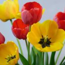 좋고좋다 이미지