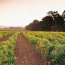 그르그르 이미지