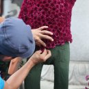 리빙플라워 이미지