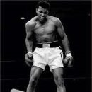 안중 체육관 이미지