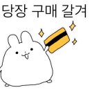 제주도 게스트하우스 파티 빅썸 이미지