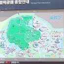 김재로묘 | [흔적] 서울_삼전도비 &amp; 몽촌 토성 20250617 화