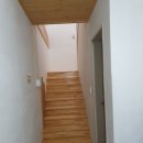 신항민박 이미지