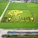 쌀사랑