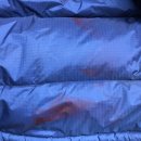 얼룩빼기이박사 이미지