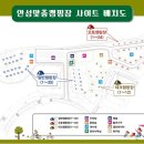 안성맞춤랜드야영장 이미지