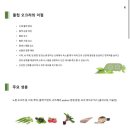 르메뜨레 이미지