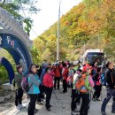 두타연이목정관광안내소 이미지