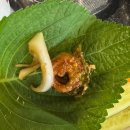 구미 산동 막창 산동먹자골목 맛집 연막창 솔직후기