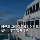 리프 | 케언즈 그레이트 베리어 리프 선러버 후기 + 업체비교