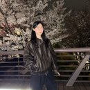 백양사 | 봄봄봄 1편🌸 에버랜드 워킹사파리, 서울/평택 벚꽃 명소들