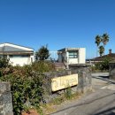 아라파파 | 제주 북촌 바다뷰 베이커리 카페, 아라파파 북촌 후기