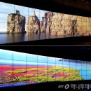 삼성딜라이트 이미지