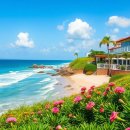 이엘농장 이미지