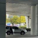 개 친절 펫택시 이미지