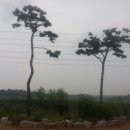 황토현농장 이미지