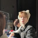 러블리 댕댕 이미지