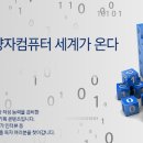 성치자문 이미지