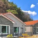 말티가는길 이미지