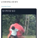 투바투랑 방뚱땡이 썰은 봐도봐도 웃김 이미지