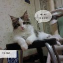 우리단비랑 이미지