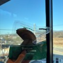 백운의 휴일 | 스타벅스 의왕백운호수점 방문 후기 (운영시간/주차꿀팁)