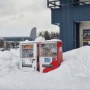 11590-라31-4 | 삿포로 비에이투어 4월 예약 라쿠투어 비에이 후기