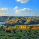 밍크목장 이미지