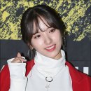 보나테이블 이미지