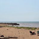 PEI (Prince Edward Island), Canada 이미지
