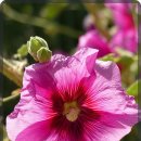 대전한의원 이미지