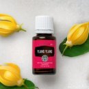 일랑일랑 이미지