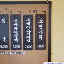 낙타식당 티스토리