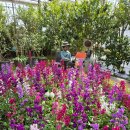 영농조합법인정원농장 이미지