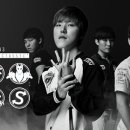 스타 B&P 이미지