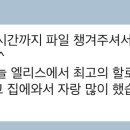 앨리스영어교습소 이미지