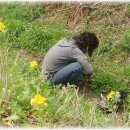 논두렁밭두렁 이미지