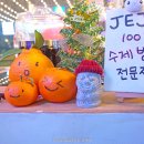 서귀포매일올레시장 이미지