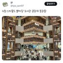 별마당