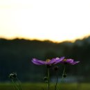 (주)들녘 이미지