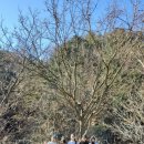 캠핑소리251 이미지