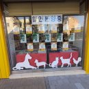 광주강아지분양 애견만세 이미지