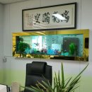 전주기린초등학교 이미지