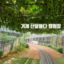 거제남서로 | 산달바다 캠핑장 경상도 키즈캠핑장 내돈내산 후기