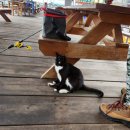 와따좌대낚시터 이미지